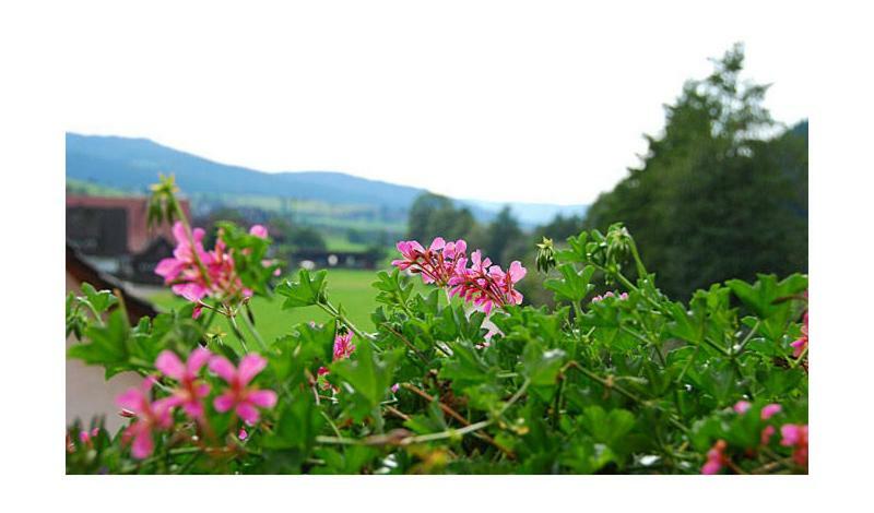 Pension Haus Rose Oberharmersbach Eksteriør bilde